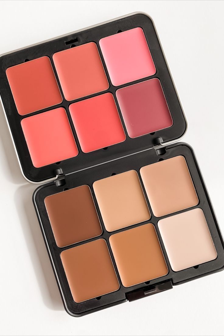 2 in 1 Carla's Secret Creamy Palette Blush and Contour